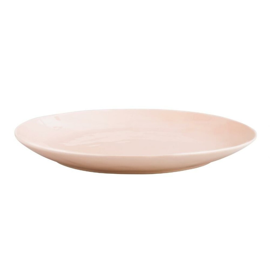 Dinnerware * | World Market Blush Element Dinner Plate Set Of 4