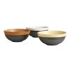 Dinnerware * | World Market Fuji Rimmed Noodle Bowl Set Of 3